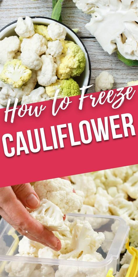 Learn how to freeze cauliflower with these helpful steps. It's a simple and cost-effective way of preserving this nutritious vegetable. You'll be able to store your cauliflower for weeks and months with ease! How To Freeze Cauliflower Without Blanching, Freezing Cauliflower How To, How To Freeze Cauliflower, Freezing Cauliflower, Freeze Cauliflower, Purple Cauliflower, Frozen Cauliflower, Raw Cauliflower, Fun Easy Recipes