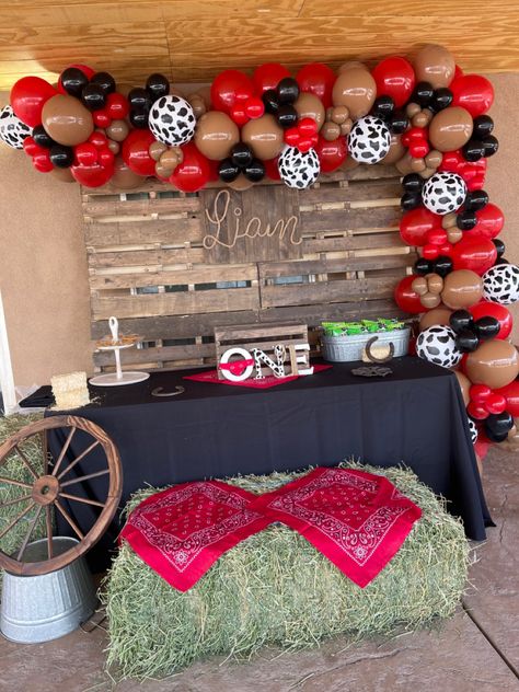 Rodeo Balloon Garland, Western Theme Party Decorating Ideas, Party Decorations For Adults, Cowboy Party Decorations, Western Party Decorations, Cowboy Themed Birthday Party, Cow Prints, Rodeo Birthday Parties, Cowboy Theme Party