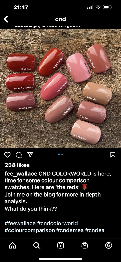 Best Pink Nail Polish For Fall, Cnd Shellac Fall Colors, Fall Cnd Shellac Colors, Fall Pink Nail Colors, Block Nail Colour, Cnd Fall Colors, Cnd Shellac Colors Fall 2023, Cnd Gel Polish Colors, Cnd Shellac Colors 2023