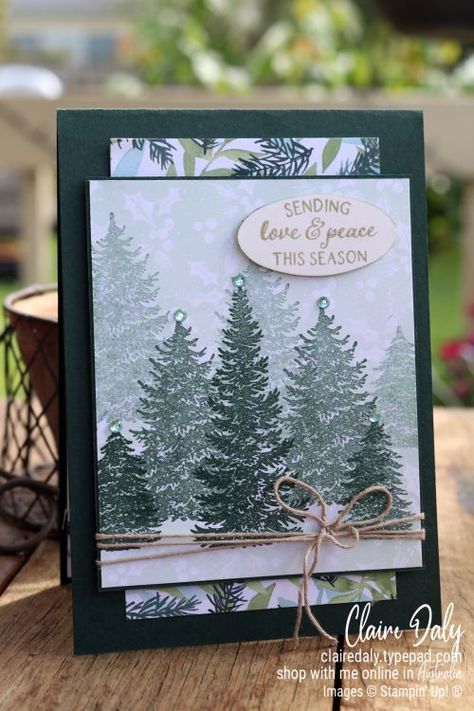 Stampin Up Evergreen Elegance Cards, Winter Stampin Up Cards, Stampin Up Kids Christmas Cards, Christmas Card Stampin Up Ideas, Stampin Up 2022 Christmas Cards, Evergreen Elegance Stampin Up Cards, Stampin Up Christmas 2022, Painted Christmas Stampin Up Cards, Stampin Up Christmas Cards 2021-2022