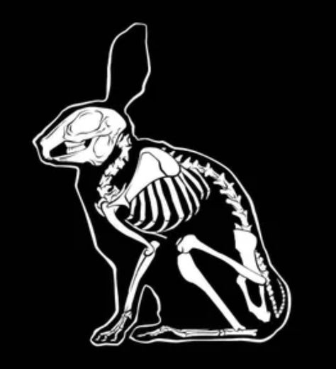 Bunny Skeleton, Rabbit Skeleton, Skeleton Cartoon, Skeleton Drawing, Skeleton Drawings, Skeleton, Darth Vader, Drawings, Fictional Characters