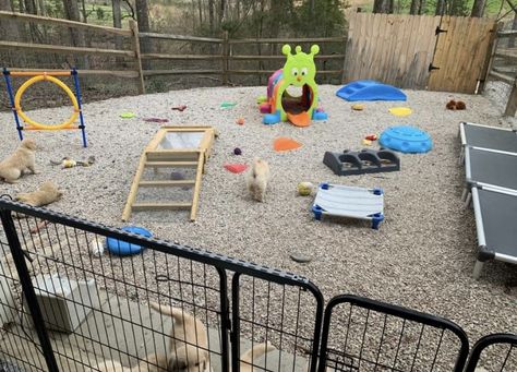 Dog Breading Set Up, Outdoor Puppy Pen, Dog Breeder Setup Indoor, Outdoor Puppy Play Area, Puppy Breeding Room, Dog Breeder Kennel Ideas, Dog Breeder Setup, Puppy Playpen Ideas, Puppy Play Area