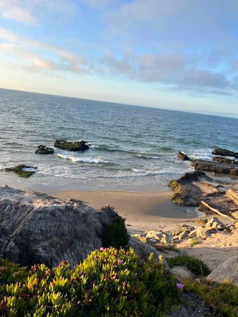 beach, ucsb, cliff, ocean, sunrise Ucsb Campus, Uc Santa Barbara, California Dreamin', Santa Barbara, University, California, Travel