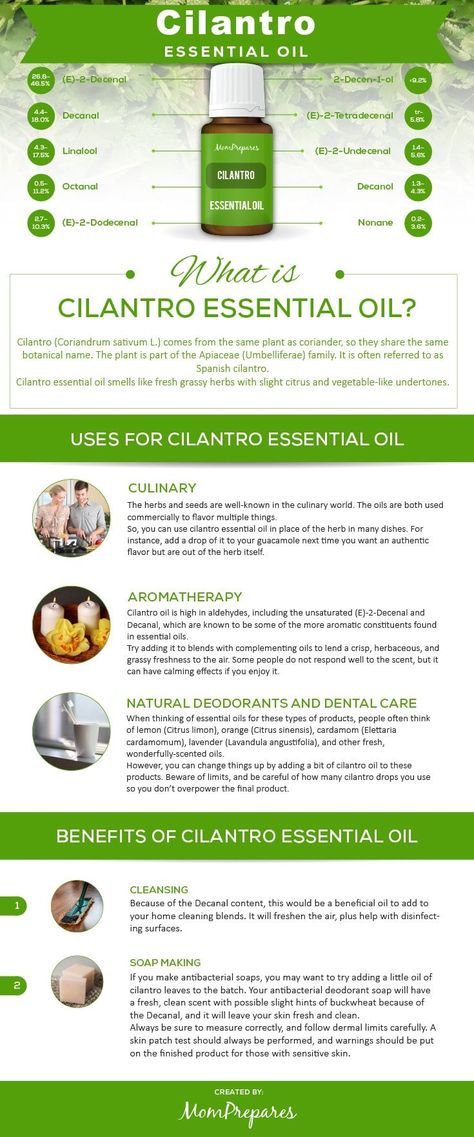 Cilantro Essential Oil Uses, Cilantro Essential Oil, Help With Inflammation, Cilantro Oil, Cilantro Plant, Essential Oil Education, List Of Essential Oils, Essential Oil Safety, Essential Oils Guide