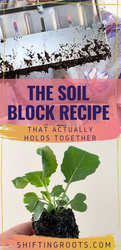 Soil Blocking, Soil Blocks, Seed Starting Soil, Growing Seedlings, Seed Starting Mix, Garden Flower Beds, Points Recipes, Organic Compost, Veg Garden