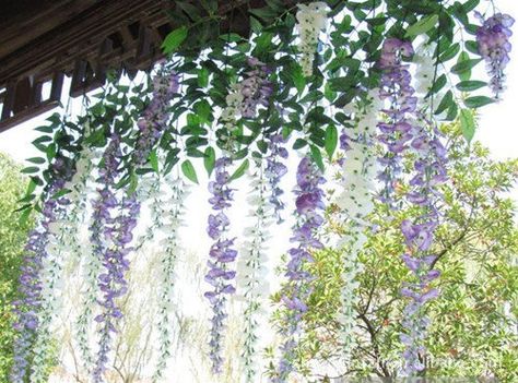 Wisteria Ideas, Tangled Prom, Mystical Bedroom, Room Diys, Wisteria Vine, Flower Room Decor, Zimmer Diy, Wisteria Flowers, Flower Ceiling