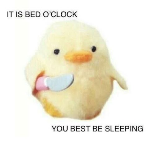 Duck Memes, Sleep Meme, Funny Af Memes, Snap Stickers, Response Memes, Cute Love Memes, Snapchat Stickers, Funny Duck, Cute Messages