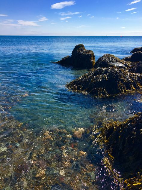 Summer time at Bray beach Ireland Bray Ireland Aesthetic, Irish Beach Aesthetic, Summer In Ireland Aesthetic, Ireland Beach Aesthetic, Irish Summer Aesthetic, Leo Core, Summer Ireland, Irish Photography, Summer In Ireland