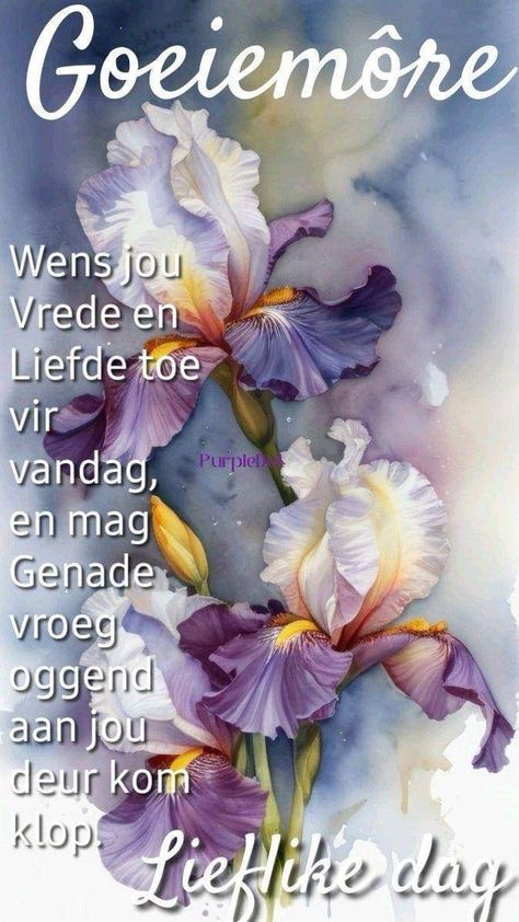 Oulike Goeie More Boodskappies, Goeie More Afrikaans, Good Morning Wishes Love, Good Morning Greeting Cards, Comforting Bible Verses, Night Greetings, Good Morning Flowers Quotes, Good Night Flowers, Happy Birthday Wishes Quotes