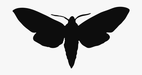 Moth Silhouette, Military Decor, Underarmor Logo, Cute Style, Under Armor, Moth, Google Search, ? Logo, Animals