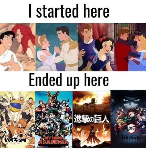 Cool Animes, Otaku Issues, Anime Mems, Anime Funny Moments, Anime Quotes Inspirational, Memes Anime, Anime Jokes, Anime Memes Funny, Anime Meme