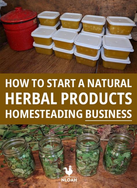 Starting a herbal homesteading business may seem daunting, but it's actually pretty easy... and cheap. Here's what you need to worry about. #nloah #homesteading #business #homemade Selling Herbal Products, How To Start An Apothecary Business, Herbal Products To Sell, Farm Products To Sell, Cottagecore Bookstore, Herb Business, Herbs Collection, Herbal Business, Medicinal Herbs Remedies