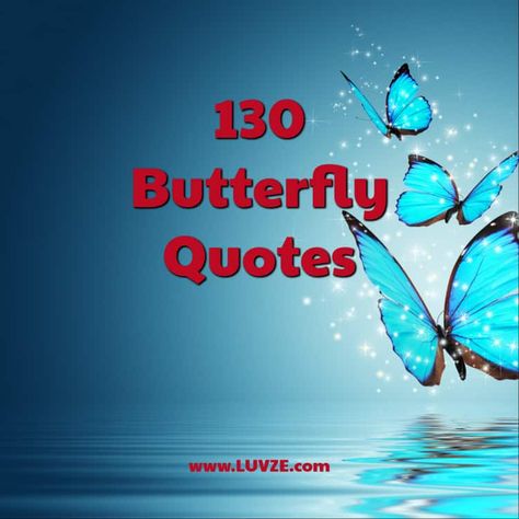 butterfly quotes Butterfly Poems, On The Wings Of Love, Butterfly Cute, Funny Women Quotes, True Quotes About Life, Butterfly Quotes, Flirting Messages, Flirting Quotes Funny, Flirting Texts