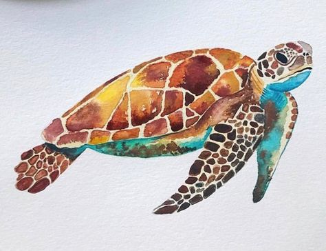 Sea Turtle Artwork, Sea Turtle Drawing, Sea Murals, Sea Turtle Watercolor, Turtle Watercolor, Turtle Drawing, Underwater Painting, Sea Turtle Art, Kalamkari Painting