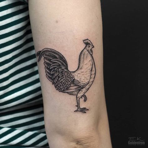 Hen Tattoo, Rooster Silhouette, Lines Illustration, Rooster Tattoo, Praha Prague, Line Illustration, Prague, I Tattoo, Hen