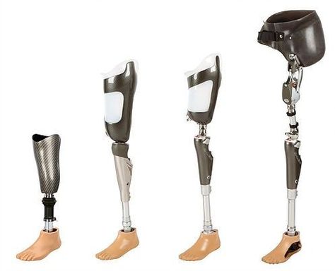 Leg Prosthesis, Leg Reference, Orthotics And Prosthetics, Robot Animal, Leg Art, Germany Style, Props Concept, Prosthetic Leg, Biomedical Engineering