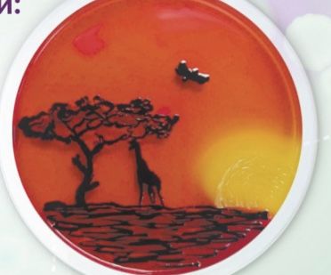 Agar Art Microbiology, Agar Art, Bacteria Art, Medical Laboratory Technologist, Microbiology Lab, Medical Laboratory, Microbiology, Kirby, Lab