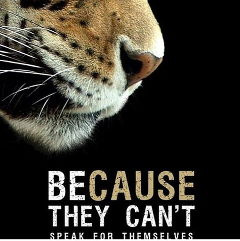 Because they can't speak for themselves. Wwf Poster, Effective Ads, Animals Poster, Wildlife Protection, Wildlife Day, Save Wildlife, Animal Conservation, Publicidad Creativa, Animal Protection