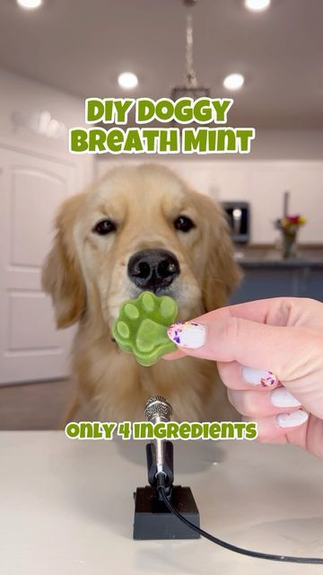 Diy Dog Mints, Doggy Breath Mints Diy, Doggie Breath Mints Diy, Breath Mints For Dogs, Dog Fresh Breath Treats, Dog Treats Homemade For Bad Breath, Dogs Breath Stinks, Dog Mint Treats, Mint Dog Treats Recipes