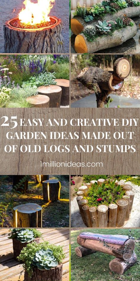 Do you want to try to make something unique from a tree cut down, or a rigid, dead tree stump with bare bases in the garden? There are countless options to transform them into a striking focal point that can impress your guests. From DIY fire pit, garden railing, planters, garden pathway, and more, these are projects you can make easily to change your garden more beautiful and outstanding. Garden Ideas With Tree Stumps, Tree Stumps Diy, Tree Stump Decor, Log Decor, Tree Stump Planter, Garden Railings, Diy Garden Ideas, Wood Stumps, Plant Stands Outdoor