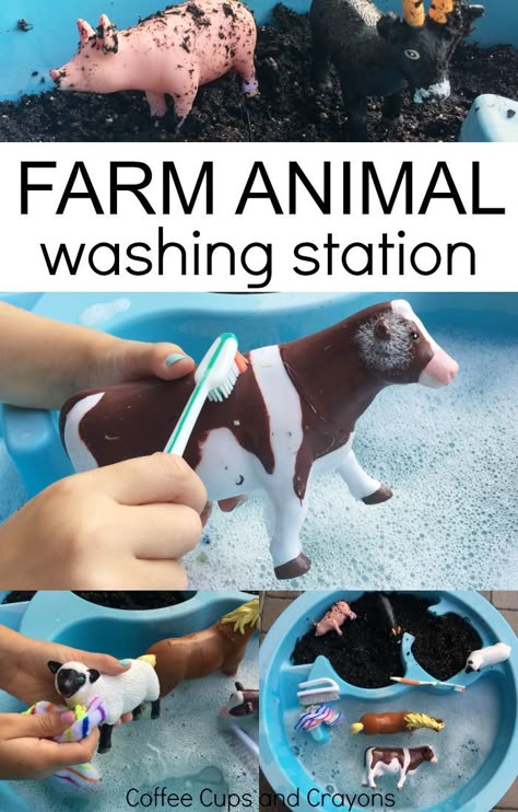 Farm Animal Washing Station Sensory Play for Toddlers and Preschoolers Uppfostra Barn, Sensory Play Toddlers, Washing Station, Farm Preschool, Farm Activities, Toddler Sensory, Mandala Tattoo Design, Animal Activities, Sensory Bin