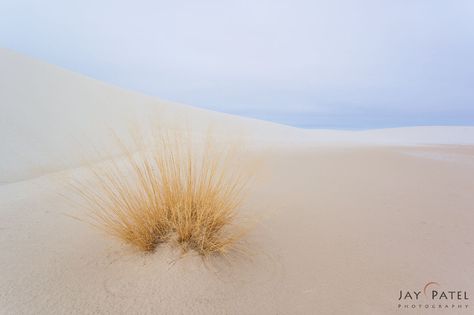 Seven Ways to Create Simpler Photos Low Contrast Photography, White Sands National Park, Contrast Photography, Nature Photography Tips, Contrast Lighting, Fine Art Landscape Photography, Principles Of Art, Photography Basics, Photography Guide