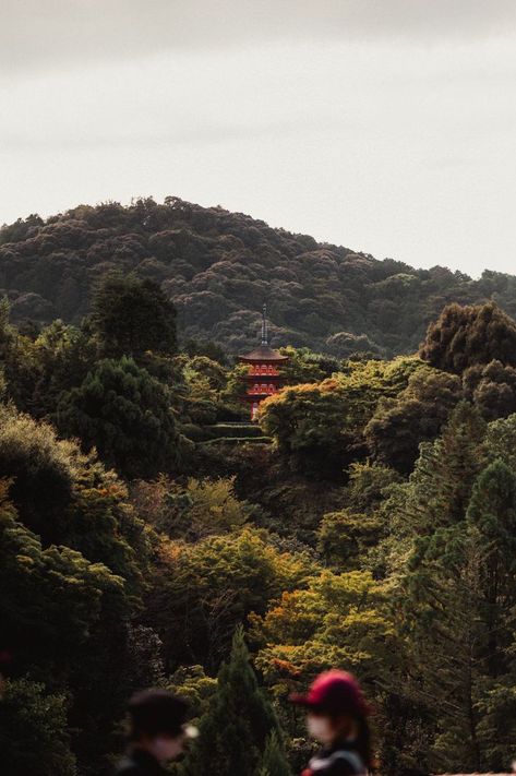 kyoto elopement Elope In Japan, Elopement In Japan, Japan Elopement, Japanese House Garden, Old Japanese House, Japan Honeymoon, Secluded Garden, Japan Wedding, Garden Beautiful