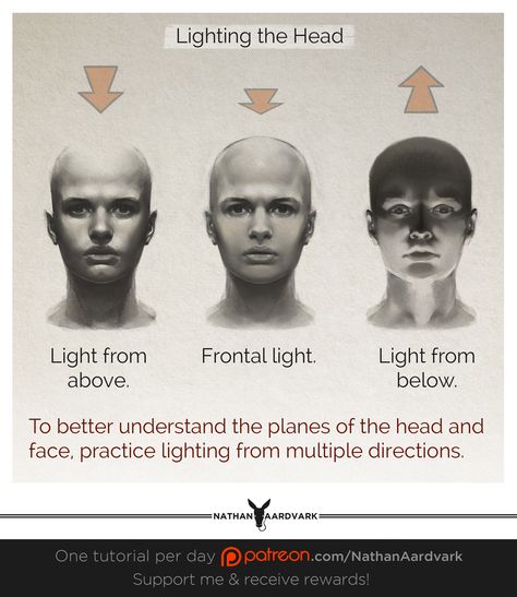 Face Lighting From Below, Light Source Above Reference, Lighting From Below Face, Good Bone Structure Faces, Above Lighting Reference Drawing, Shading The Face, Above Head Lighting Reference, Lighting From Above Reference Face, Shading Face Tutorial