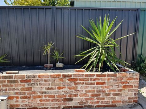 Recycled Brick Retaining Wall, Recycled Brick Garden Bed, Red Brick Garden Bed, Brick Planters Front Of House, Red Brick Retaining Wall, Brick Tiles Wall, Brick Retaining Wall, Brick Garden Wall, Retaining Wall Bricks