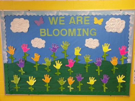 Spring bulletin board with puffy paint handprints and clouds Spring Bulletin Boards Preschool, Spring Bulletin Board Ideas, Daycare Bulletin Boards, Toddler Bulletin Boards, Flower Bulletin Boards, Easter Bulletin Boards, Kindergarten Bulletin Boards, Birthday Board Classroom, Summer Bulletin Boards