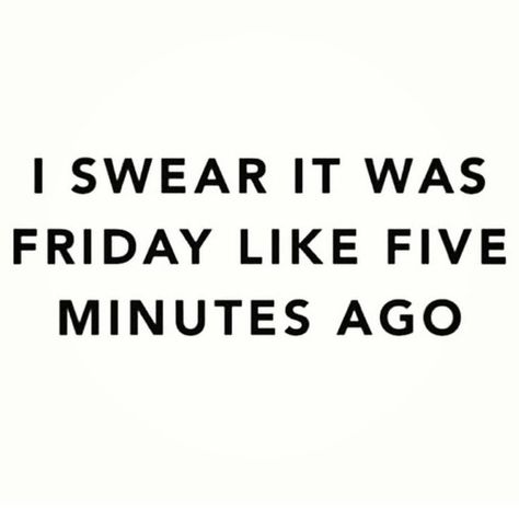 Friday Sunday night Fun Weekend Quotes, Monday Jokes, Monday Humor Quotes, Sunday Quotes Funny, Sunday Feels, Fast Quotes, Monday Motivation Quotes, Monday Humor, Weekend Quotes