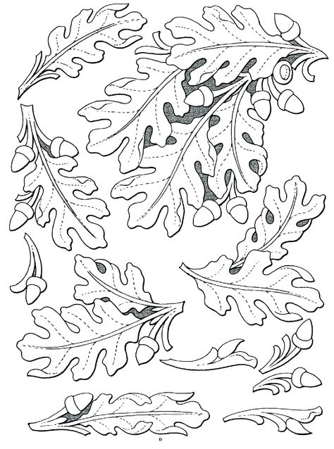 leather leaf patterns                                                                                                                                                                                 More Oak Leaf Design, Oak Leaf Drawing, Leatherworking Patterns, Oak Leaf Tattoos, Oak Leaf Pattern, Gourd Projects, Manuscript Art, Ornamental Art, Xmas Window