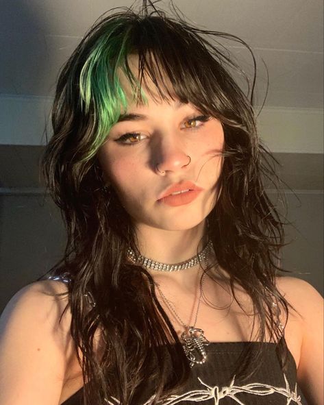 Green Hair Streaks, Hair Color Underneath, Girls With Black Hair, Hair Streaks, Shag Hairstyles, Shag Haircut, Hair Inspo Color, Dream Hair, Brunette Hair