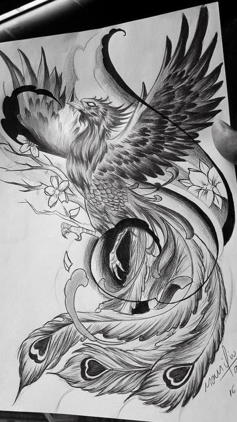 Peacock Phoenix Tattoo, Fine Art Inspired Tattoo, Phoenix Sketch Drawing, Phoenix Drawing Tattoo, Phoenix Tattoo Feminine Back, Phoenix Art Drawing, Chinese Phoenix Tattoo, Fenix Tattoo Design, Phoenix Tattoo Design Feminine