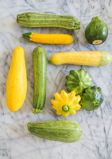 A Visual Guide to 8 Varieties of Summer Squash Baby Squash, Squash Types, Crookneck Squash, Pattypan Squash, Yellow Zucchini, Summer Squash Recipes, Yellow Squash Recipes, Yellow Food, Green Zucchini