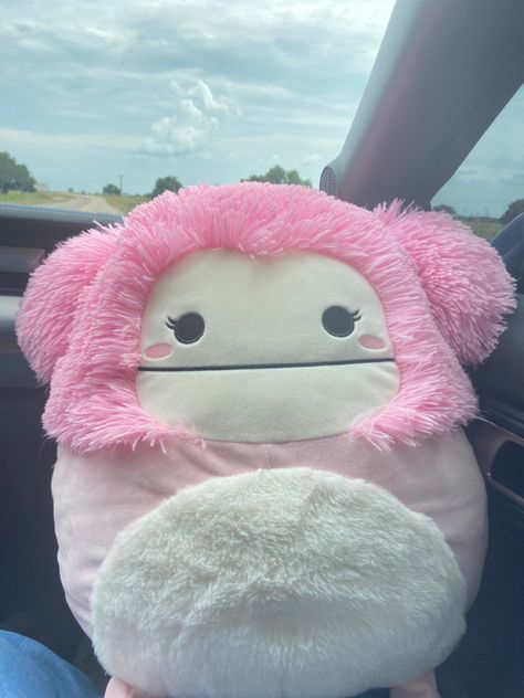 Preppy Squishmallow, Brina Squishmallow, Coquette Squishmallows, Rarest Squishmallow, Cute Pink Squishmallow, Squishmallows Flamingo, Ludwig Squishmallow, Sensory Images, Bday Wishlist