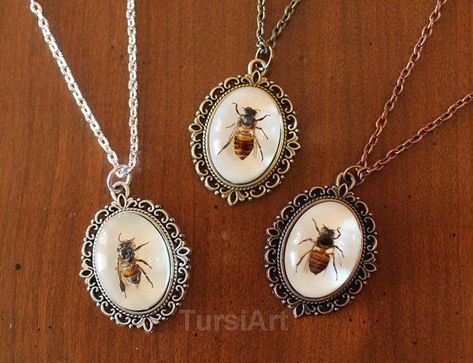 Real Honey Bee pendant Real bee necklace bee taxidermy real bug ... Bug Jewelry Resin, Bee Taxidermy, Bug Taxidermy, Apis Mellifera, Real Honey, Resin Cabochon, Jewelry Real, Insect Jewelry, Bee Pendant