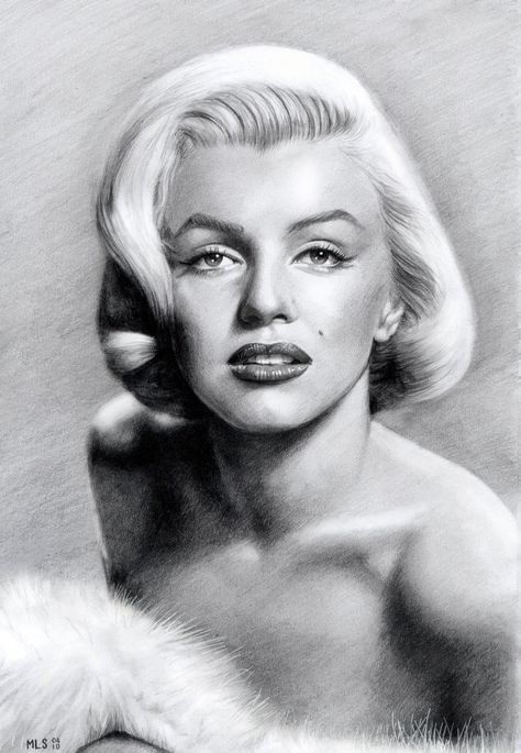 Monroe Drawing, Marilyn Monroe Drawing, Celebrity Art Drawings, Celebrity Art Portraits, Drawing Stars, Marilyn Monroe Art, Cool Pencil Drawings, Celebrity Drawings, Marilyn Monroe Photos