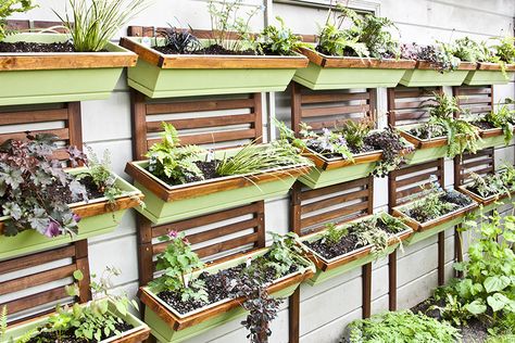 Starting My DIY Vertical Garden Verticle Garden Wall, Ikea Applaro, Diy Vertical Garden, Wall Gardens, Allotment Ideas, Kleiner Pool Design, Vertical Garden Ideas, Fenced Vegetable Garden, Vertical Vegetable Gardens