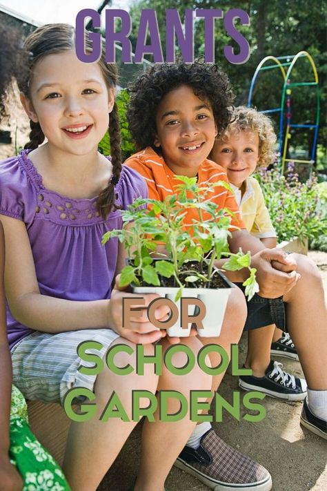 Starting a school garden can be such a game-changer for children’s education, but where does the funding come from? Check out these grants for school gardens to see if your program is eligible. #grantsforschoolgardens #gardeningwithkids #gardenfunding 1st Grade Garden Activities, School Garden Club Lesson Plans, Middle School Garden, Community Garden Ideas Projects, Garden Club Program Ideas, School Garden Ideas, School Garden Design, School Courtyard, School Garden Club