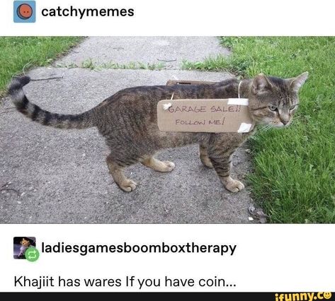 . catchymemes ªIadiesgamesboomboxtherapy Khajiít has wares If you have coin . – popular memes on the site iFunny.co #elderscrolls #gaming #cat #khajiit #skyrim #catchymemes #iadiesgamesboomboxtherapy #khajit #has #wares #if #coin #pic Elder Scrolls Memes, Skyrim Funny, Funny Animal Memes, Gaming Memes, Elder Scrolls, Funny Animal Pictures, Skyrim, Animal Memes, Tumblr Funny