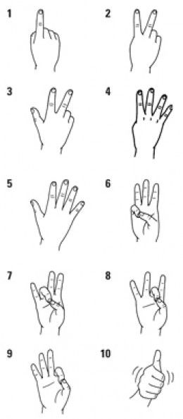 Sign Languge 1-10   ~  Learn Sign Language On Line Nato Alphabet, Sign Language Lessons, Sign Language Phrases, Sign Language Words, British Sign Language, Asl Learning, Asl Sign Language, Sign Language Alphabet, Asl Signs