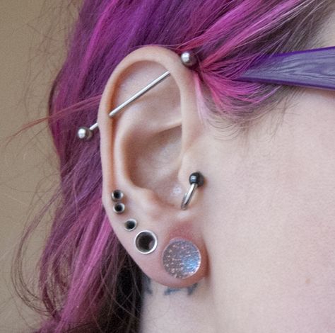 Small Stretched Ears, Guys Ear Piercings, Cool Ear Piercings, Cool Piercings, Multiple Ear Piercings, Ear Piercings Cartilage, Cute Piercings, Jewelry Tattoo, Piercing Ideas