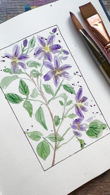 Clematis Watercolor Paintings, Watercolor Clematis, Flowers For Beginners, Climbing Clematis, Water Coloring, Clematis Flower, Clematis Vine, Delicate Watercolor, Cool Sketches