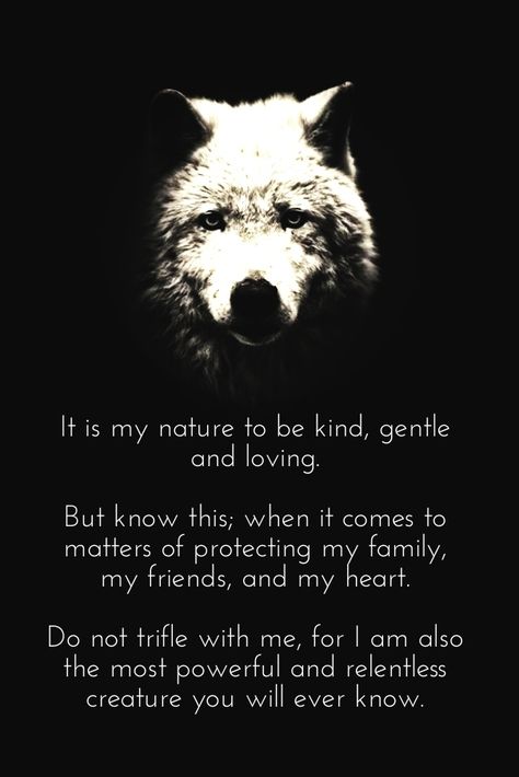 "when it comes to matters of protecting my family, my friends, and my heart ... i am also the most powerful and relentless creauture you will ever know" Wolf Pack Quotes, Protection Quotes, Lone Wolf Quotes, Protect Nature, Wolf Quotes, She Wolf, Wolf Spirit, Warrior Quotes, Inspirational Quotes About Love