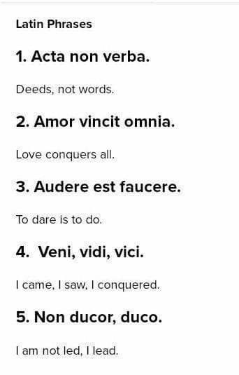 Latin Phrases, Love Conquers All, Grammar, I Saw