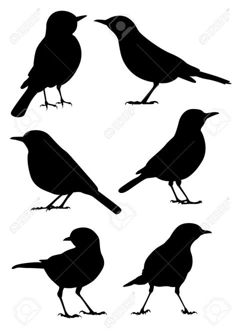 Bird Sillhoute, Bird Silhouette Art, Birds Silhouette, Vogel Silhouette, Black Bird Tattoo, Pencil Drawings For Beginners, Silhouette Images, Drawing Exercises, Bird Silhouette