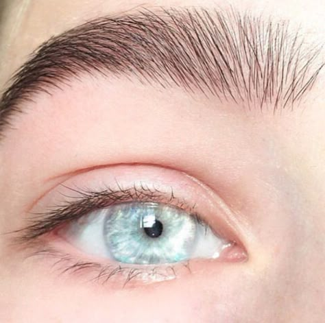 Ice Eyes, Ice Blue Eyes, Blue Eyes Aesthetic, Eye Colours, Blue Eye Color, Character Mood Boards, Teal Eyes, Beautiful Eyes Color, Light Blue Eyes