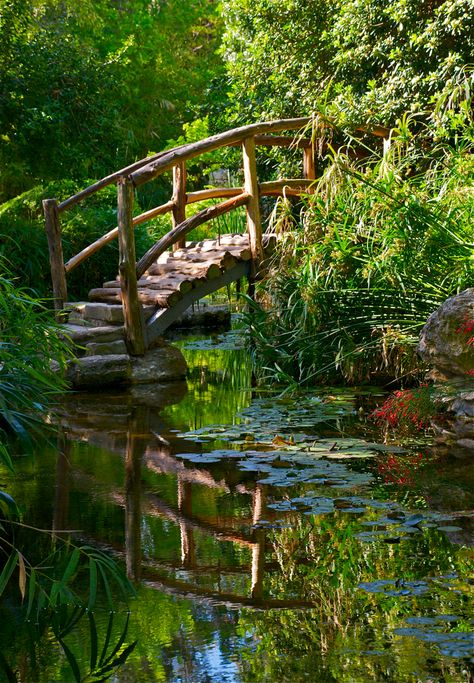 DSC_0008 | jules aboloff | Flickr Lake Bridge, Castles Interior, Fine Art Landscape Photography, Shaun The Sheep, Garden Landscape, Beautiful Scenery Nature, Art Landscape, Cool Art Drawings, Water Lilies