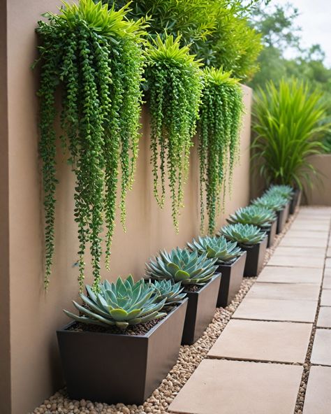 10 Succulents For Landscaping Fountain With Succulents, Modern Succulent Landscape Design, Backyard Succulent Landscaping, Az Landscaping Ideas Backyards, Front Yard Desert Landscaping, Low Maintenance Plants Outdoor, Succulent Front Yard, Succulent Landscaping Front Yard, Desert Plants Landscaping